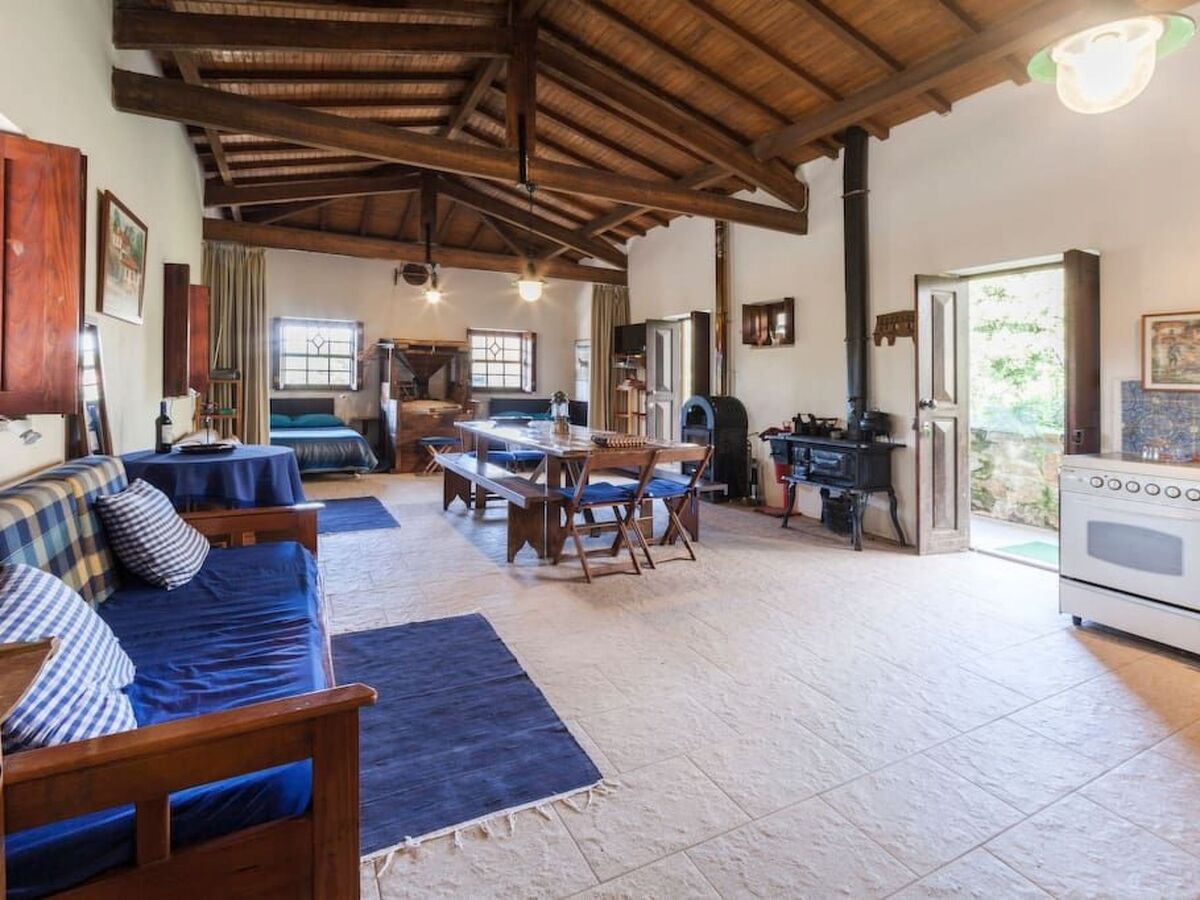 Maison du Moulin : 12 pers. ferme 15 000 m² Espinho - Photo 13