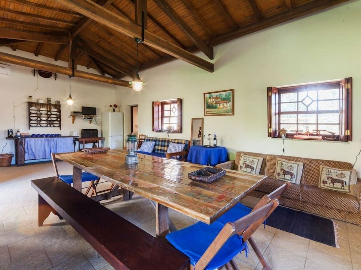 Maison du Moulin : 12 pers. ferme 15 000 m² Espinho - Photo 16