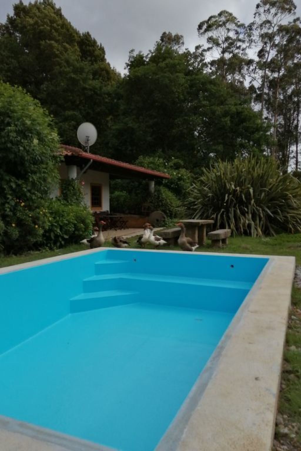 Maison du Moulin : 12 pers. ferme 15 000 m² Espinho - Photo 29