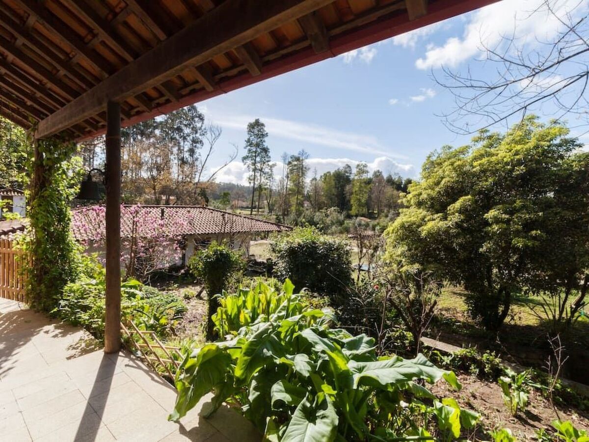 Maison du Moulin : 12 pers. ferme 15 000 m² Espinho - Photo 33