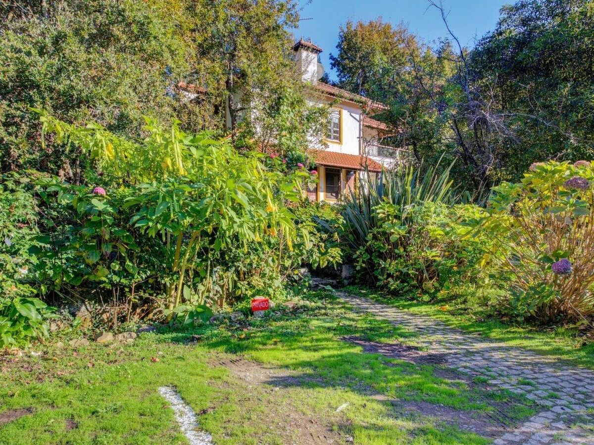 Maison du Moulin : 12 pers. ferme 15 000 m² Espinho - Photo 35