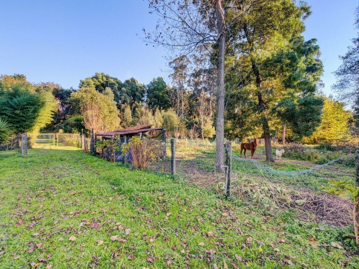 Maison du Moulin : 12 pers. ferme 15 000 m² Espinho - Photo 37
