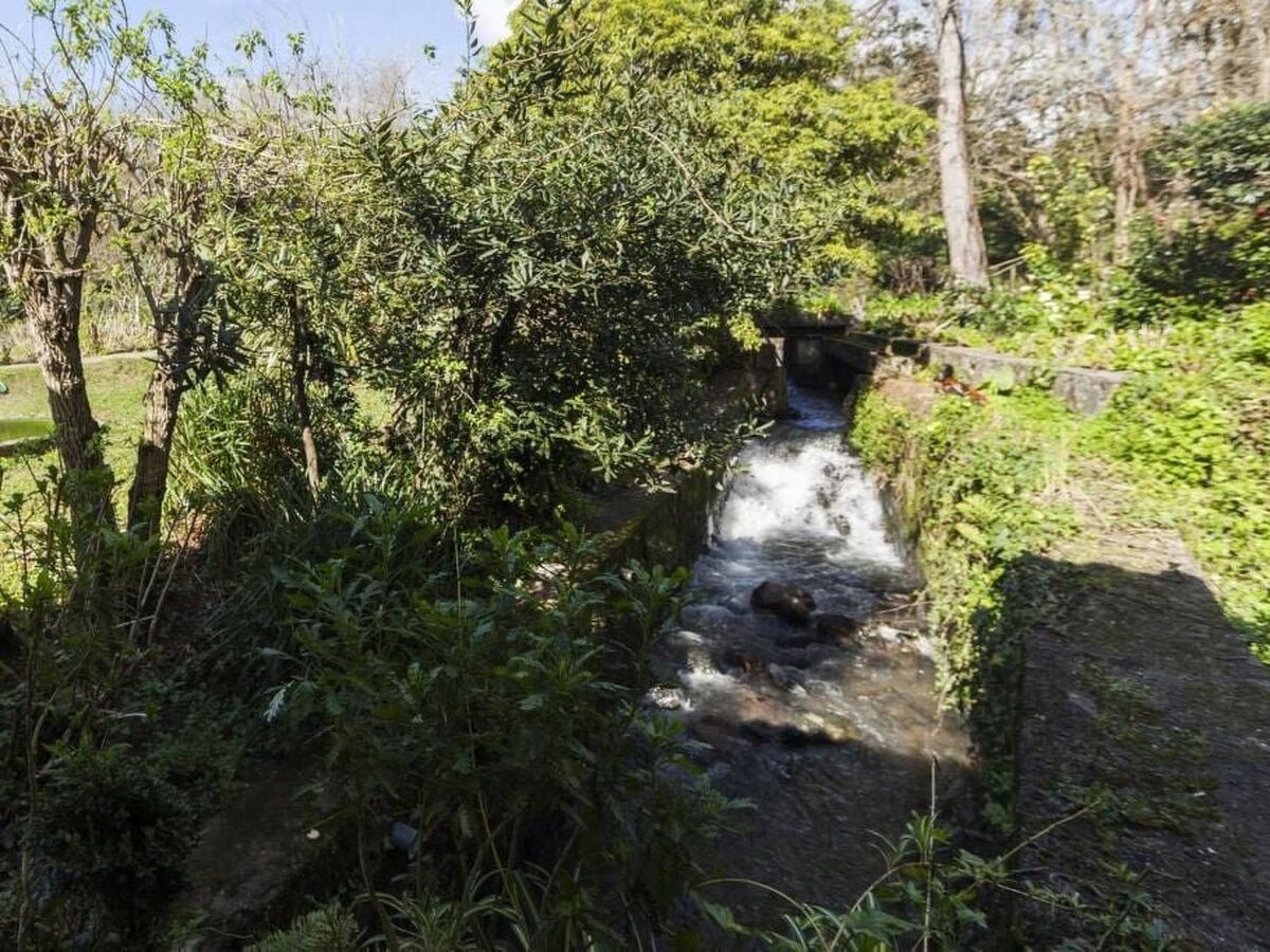 Maison du Moulin : 12 pers. ferme 15 000 m² Espinho - Photo 39