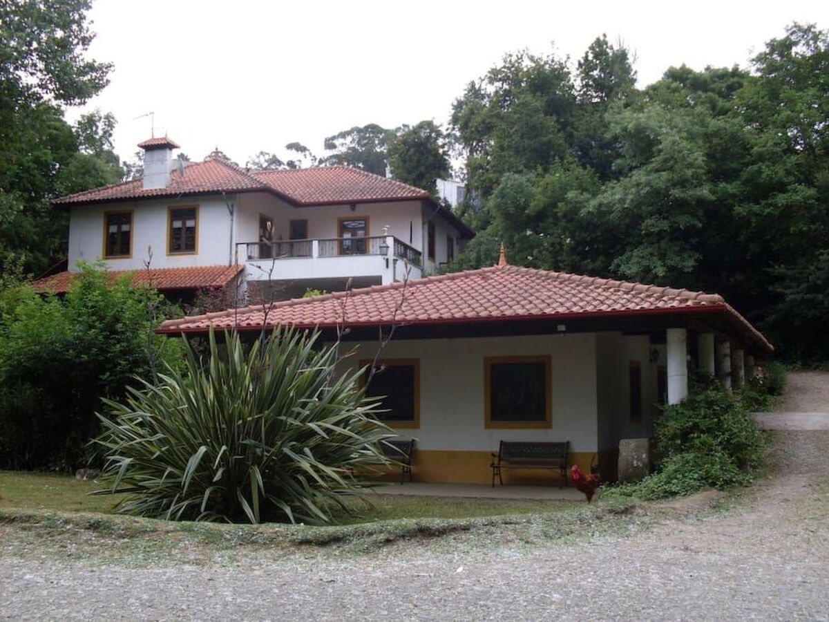 Maison du Moulin : 12 pers. ferme 15 000 m² Espinho - Photo 44