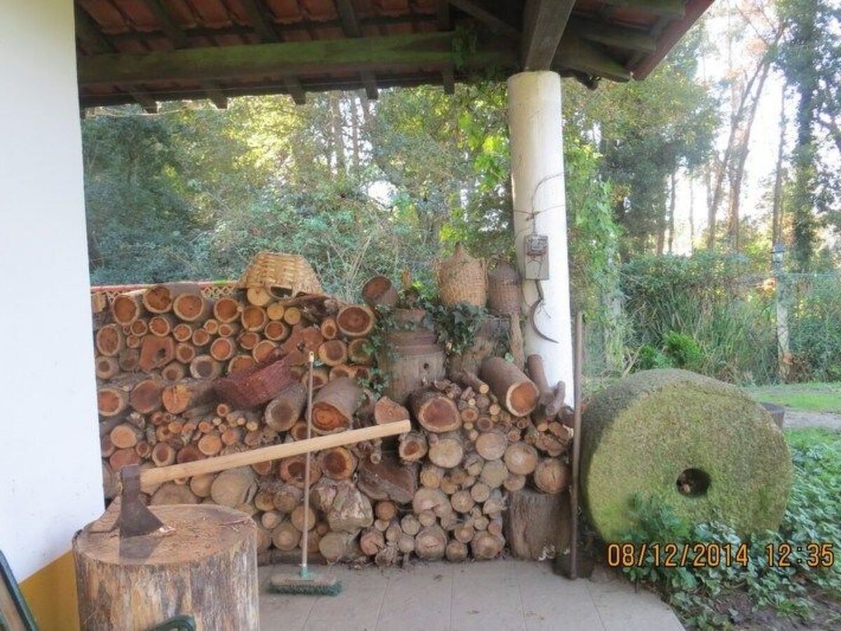 Maison du Moulin : 12 pers. ferme 15 000 m² Espinho - Photo 47