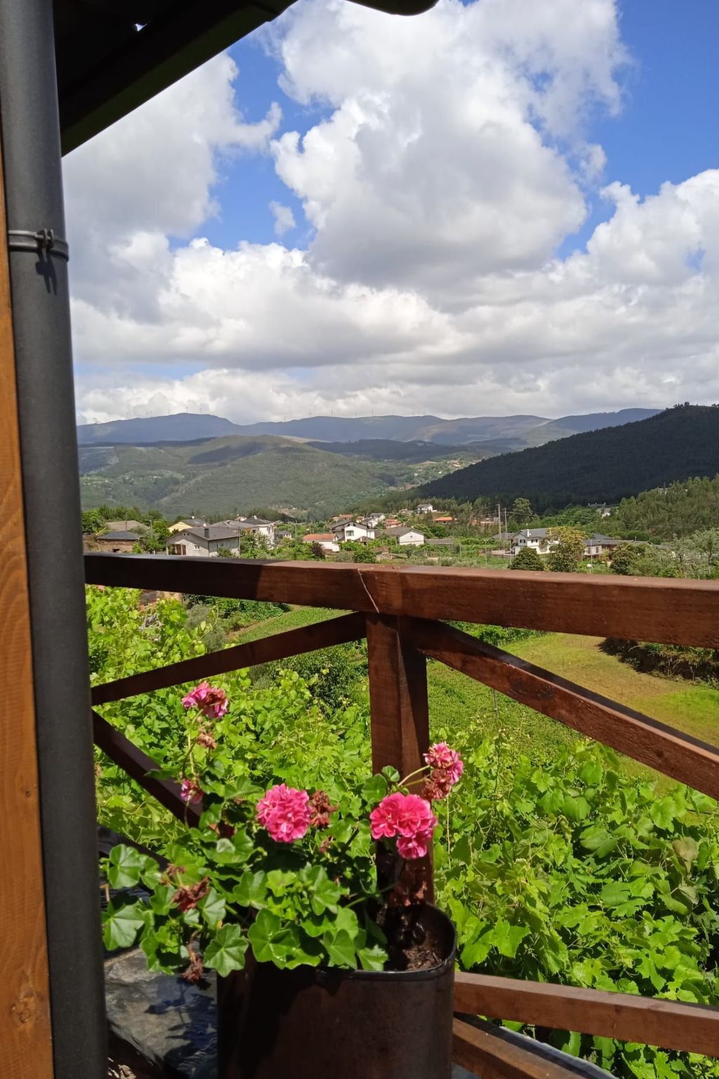 Maison de montagne à Arouca, piscine privée - Photo 53