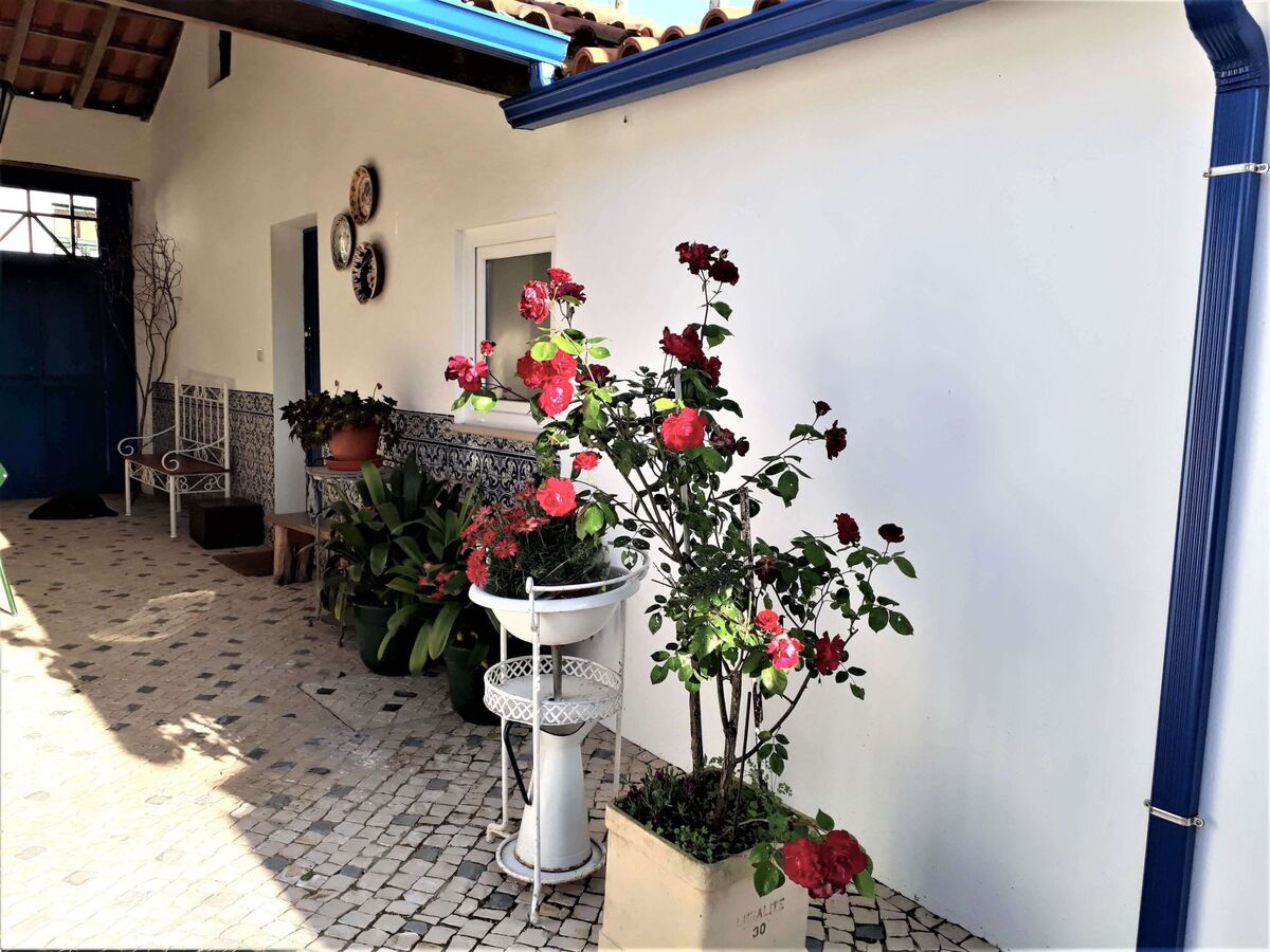 Quinta D'Avó Amélia – Ferme du XIXe siècle avec piscine, Albergaria-a-Velha - Photo 21