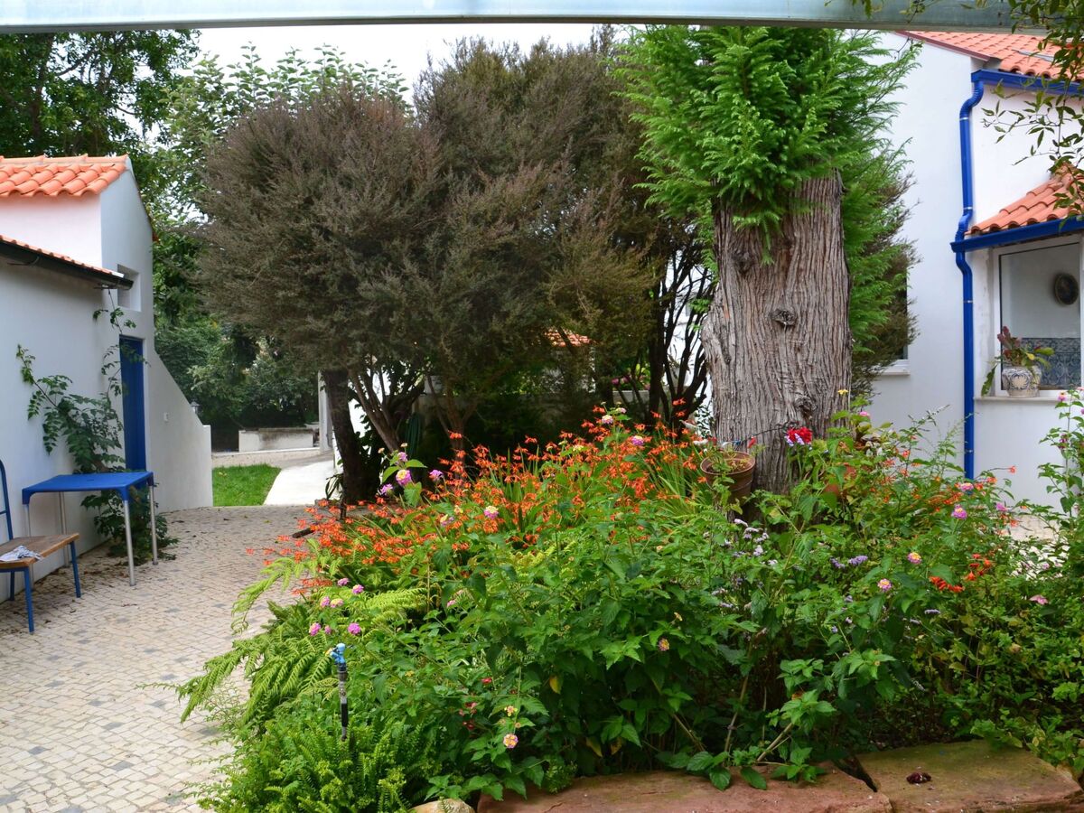 Quinta D'Avó Amélia – Ferme du XIXe siècle avec piscine, Albergaria-a-Velha - Photo 22