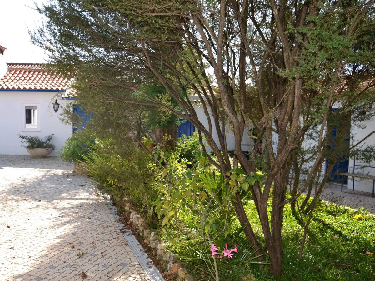 Quinta D'Avó Amélia – Ferme du XIXe siècle avec piscine, Albergaria-a-Velha - Photo 23