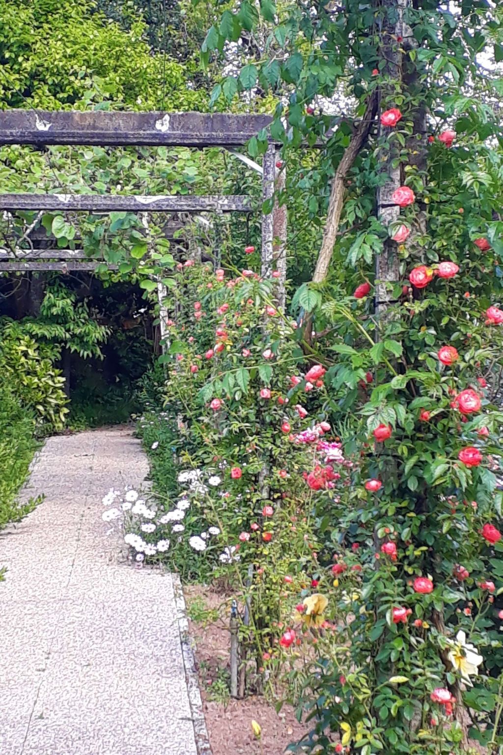 Quinta D'Avó Amélia – Ferme du XIXe siècle avec piscine, Albergaria-a-Velha - Photo 27