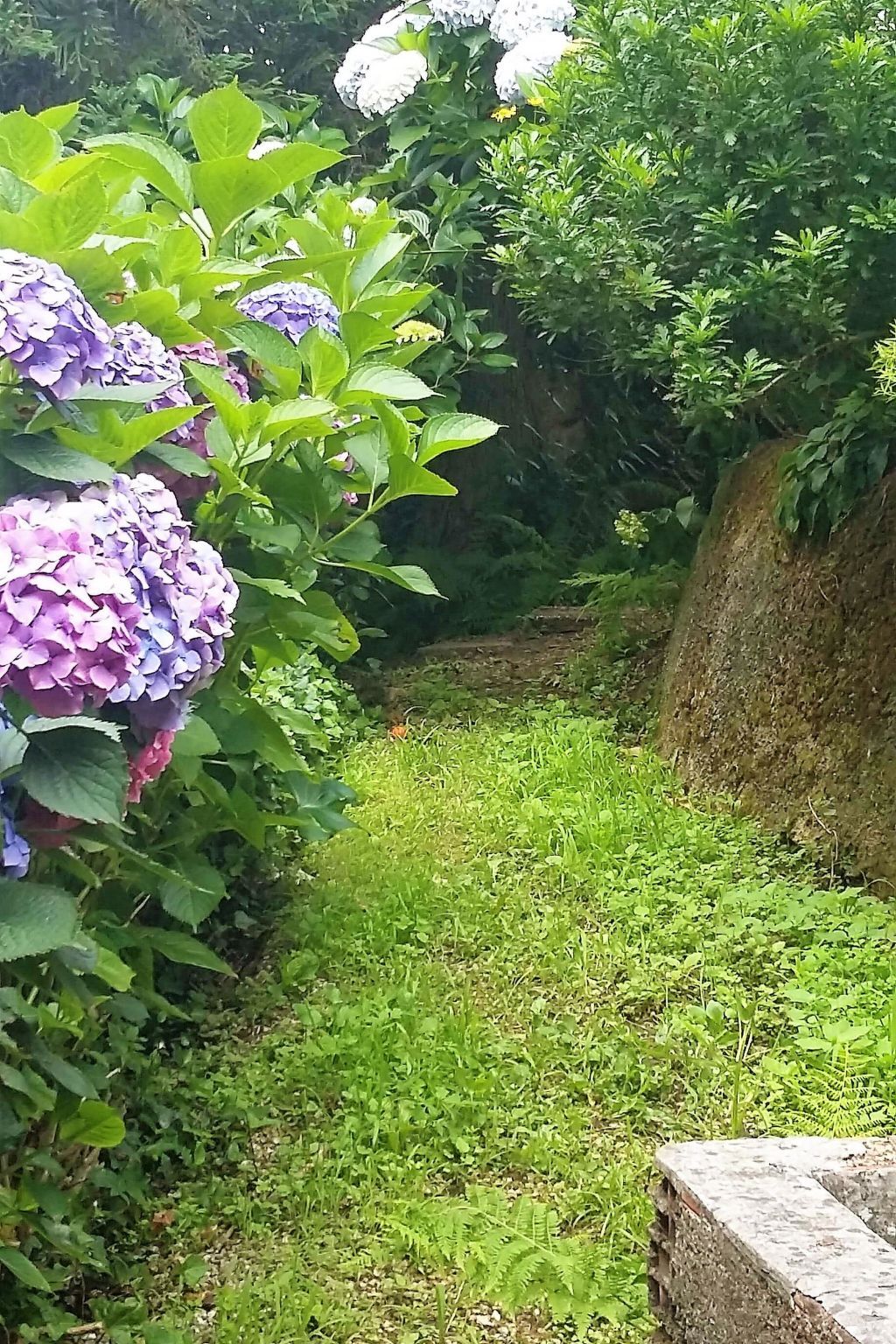 Quinta D'Avó Amélia – Ferme du XIXe siècle avec piscine, Albergaria-a-Velha - Photo 31