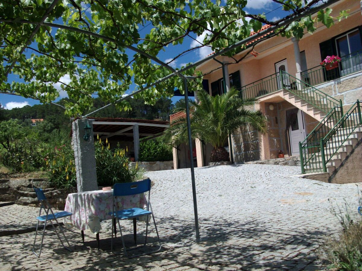 Maison vigneronne au cœur du Douro, Fornos de Algodres - Photo 3