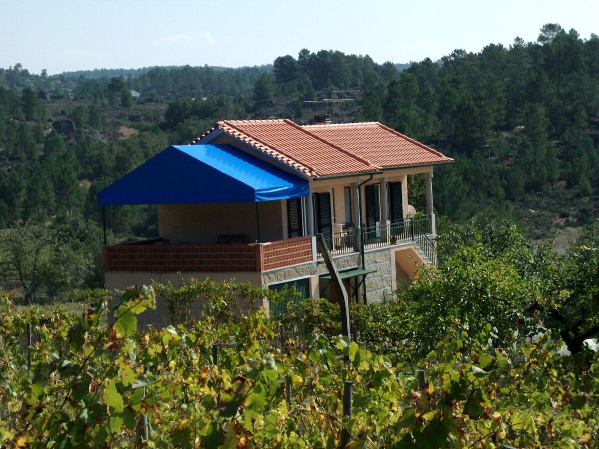 Maison vigneronne au cœur du Douro, Fornos de Algodres - Photo 4