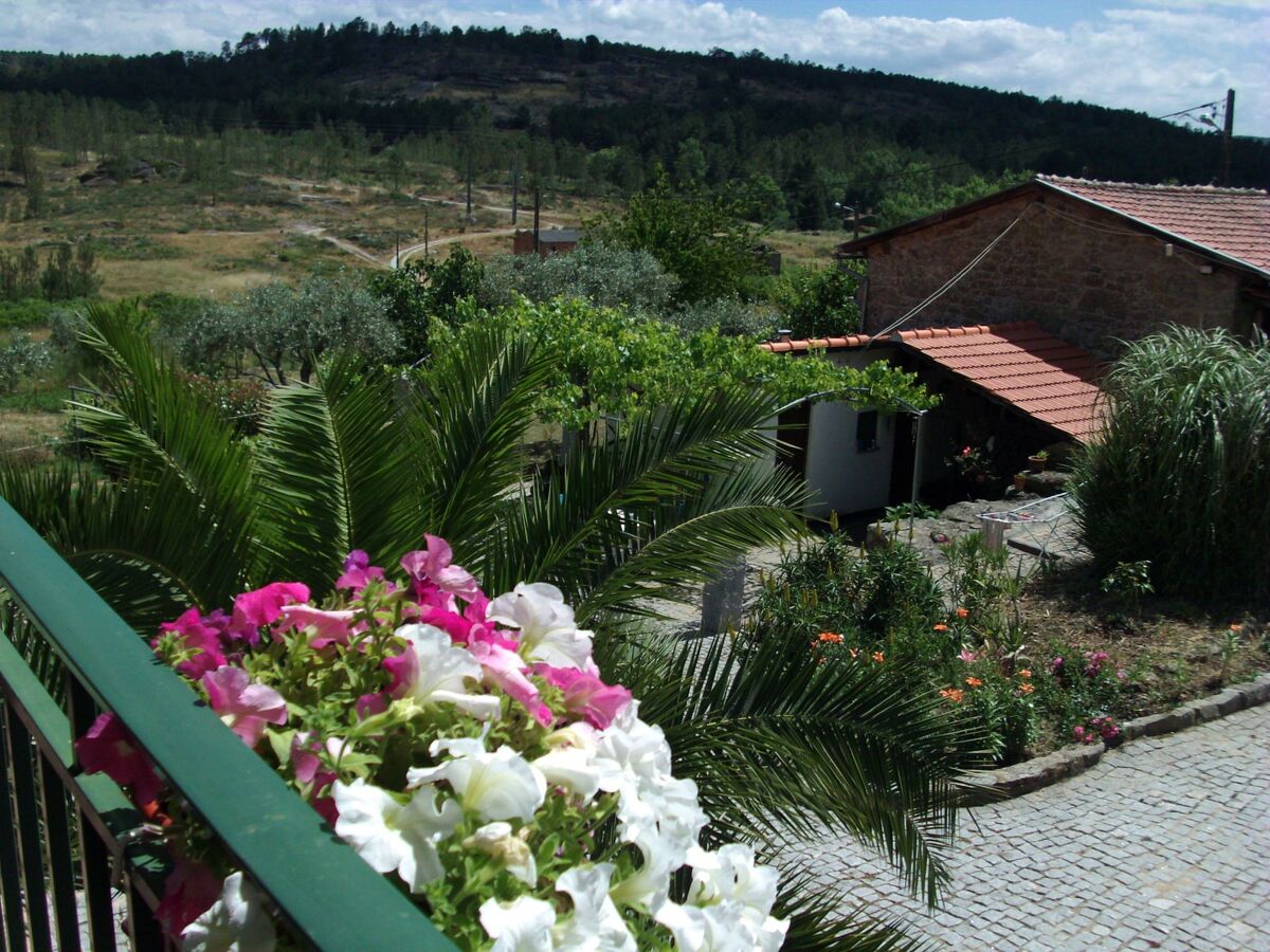 Maison vigneronne au cœur du Douro, Fornos de Algodres - Photo 18
