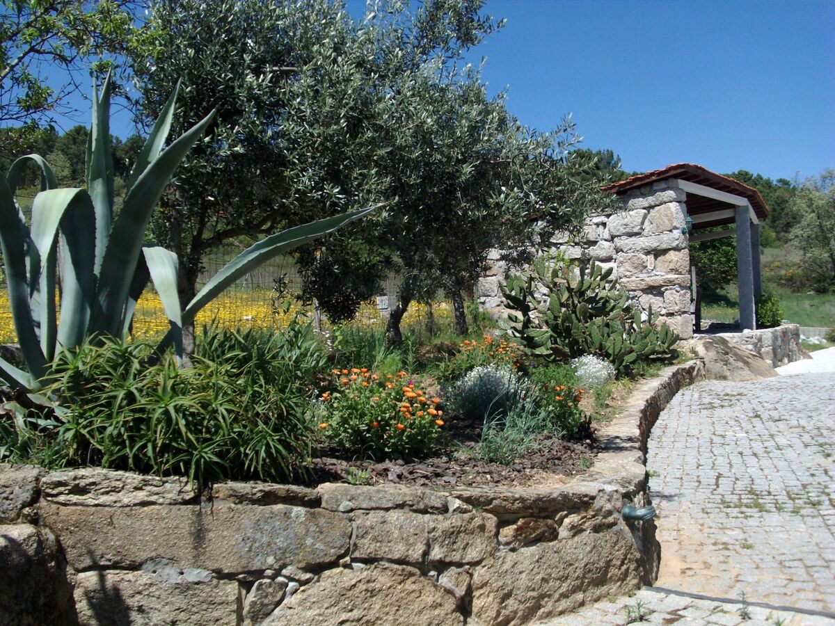 Maison vigneronne au cœur du Douro, Fornos de Algodres - Photo 20