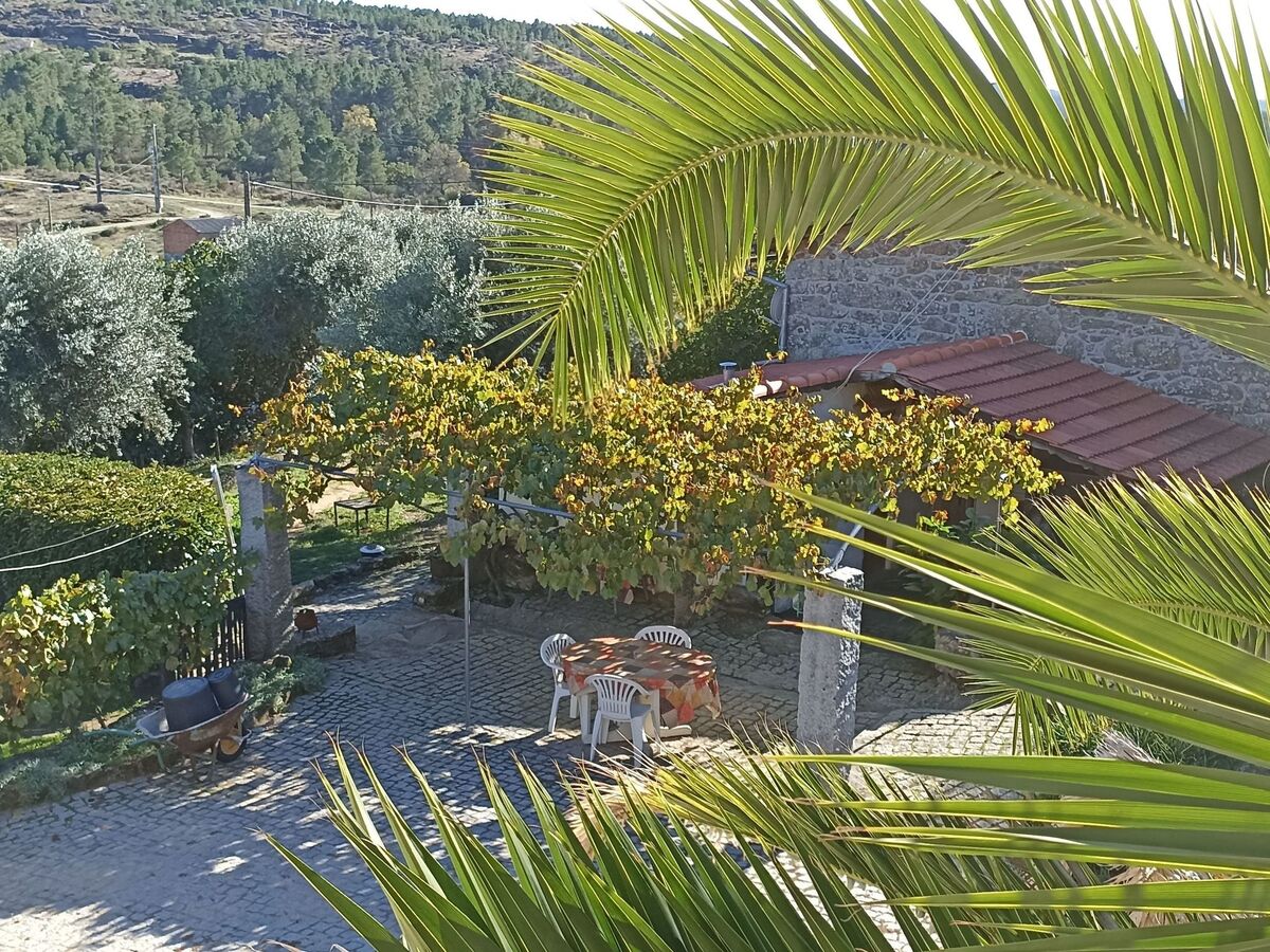 Maison vigneronne au cœur du Douro, Fornos de Algodres - Photo 40
