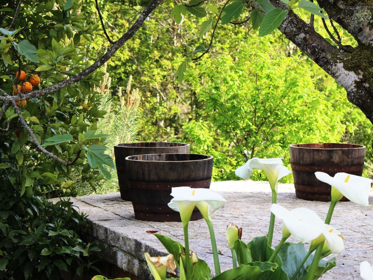 Maison rénovée 4 chambres, piscine et accès ecopista à Tondela - Photo 10