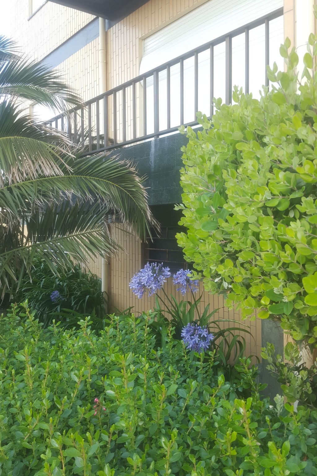 Appartement vue mer à 50m de la plage, Buarcos - Photo 21