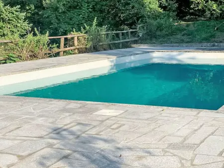 Maison 14 personnes avec piscine à Oliveira de Frades : photo 33