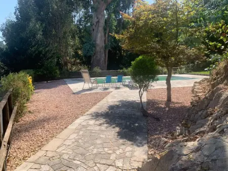 Maison 14 personnes avec piscine à Oliveira de Frades : photo 36