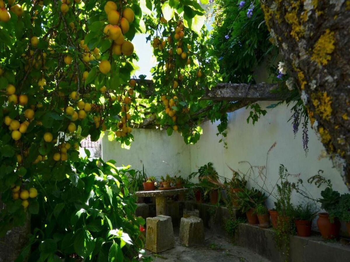 Maison historique 3 chambres avec piscine à Óbidos - Photo 32