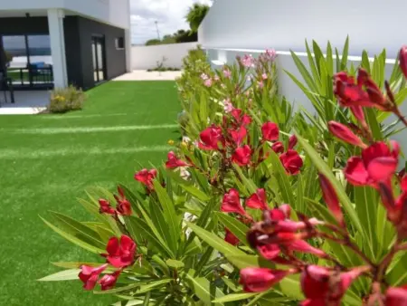 Villa moderne avec piscine privée à Famalicão : photo 5