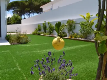 Villa moderne avec piscine privée à Famalicão : photo 6