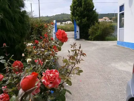 Appartement 6 personnes à Famalicão avec piscine : photo 19