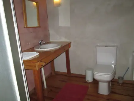 Maison de ferme du XIXe siècle, 4 chambres avec piscine - Photo 23