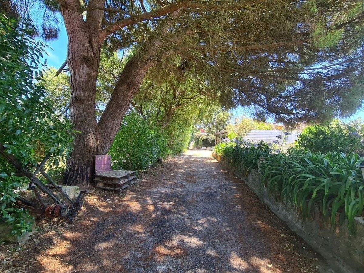 Maison de ferme dans les vignes à Ribafria, piscine - Photo 16