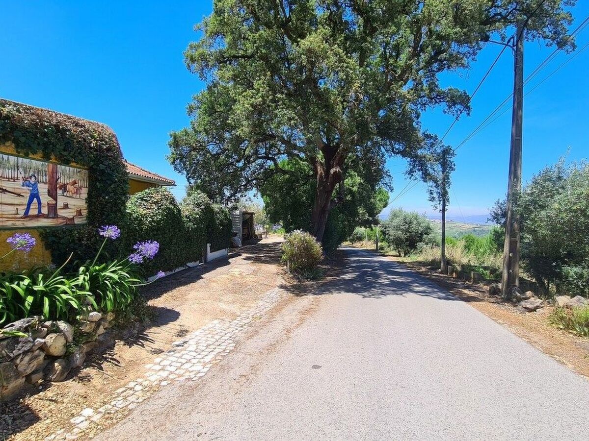 Maison de ferme dans les vignes à Ribafria, piscine - Photo 17