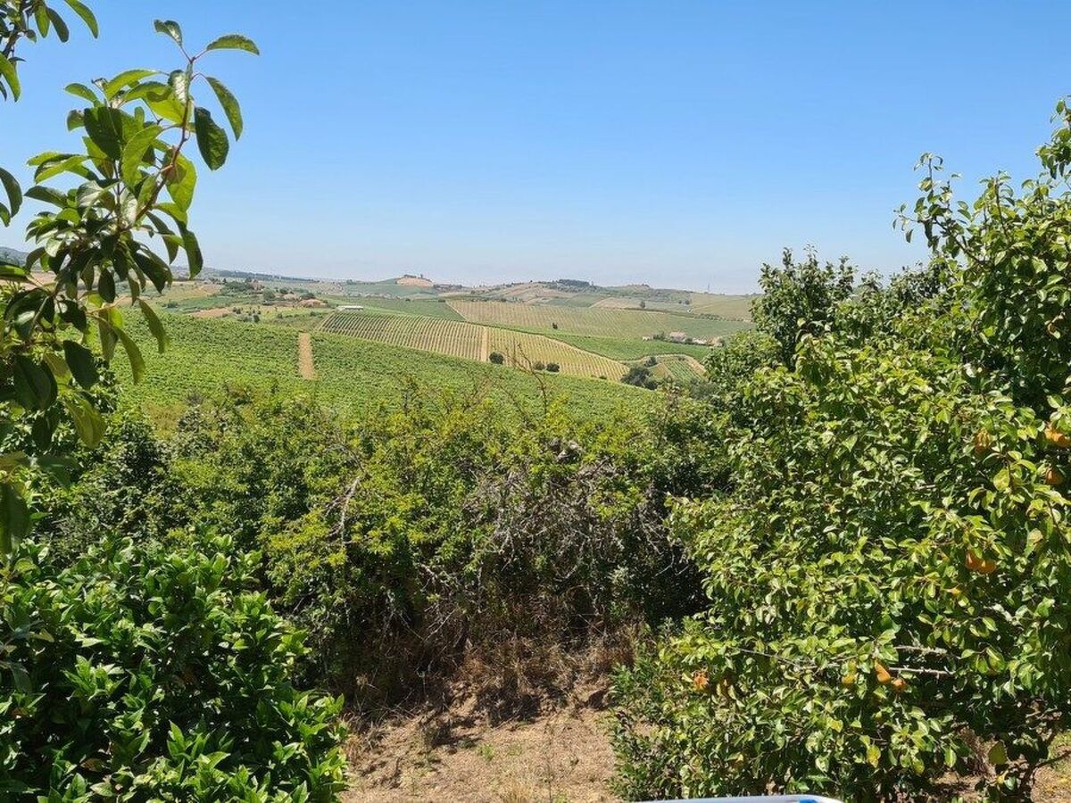 Maison de ferme dans les vignes à Ribafria, piscine - Photo 20