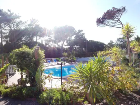 Bungalow avec piscine privée chauffée à Colares : photo 8