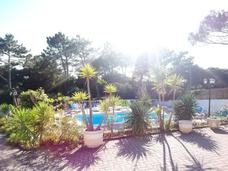 Bungalow avec piscine privée chauffée à Colares : photo 9