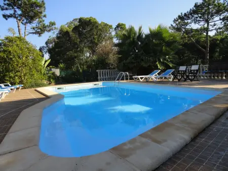 Bungalow avec piscine privée chauffée à Colares : photo 11