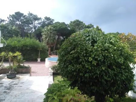 Bungalow avec piscine privée chauffée à Colares : photo 12