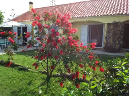 Quinta do Mar – Maison vue mer avec piscine à Colares : photo 12