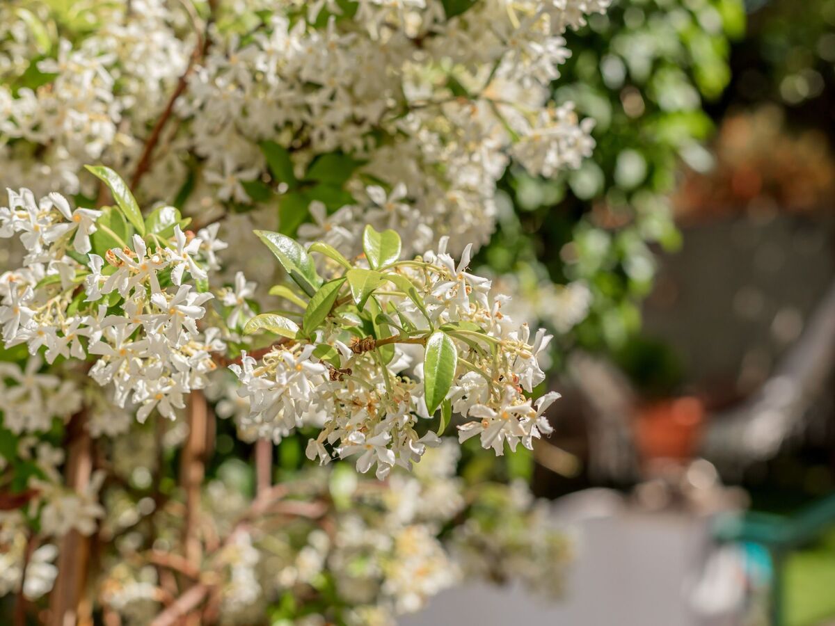 Maison 2 chambres à Algés avec petit pool partagé - Photo 27
