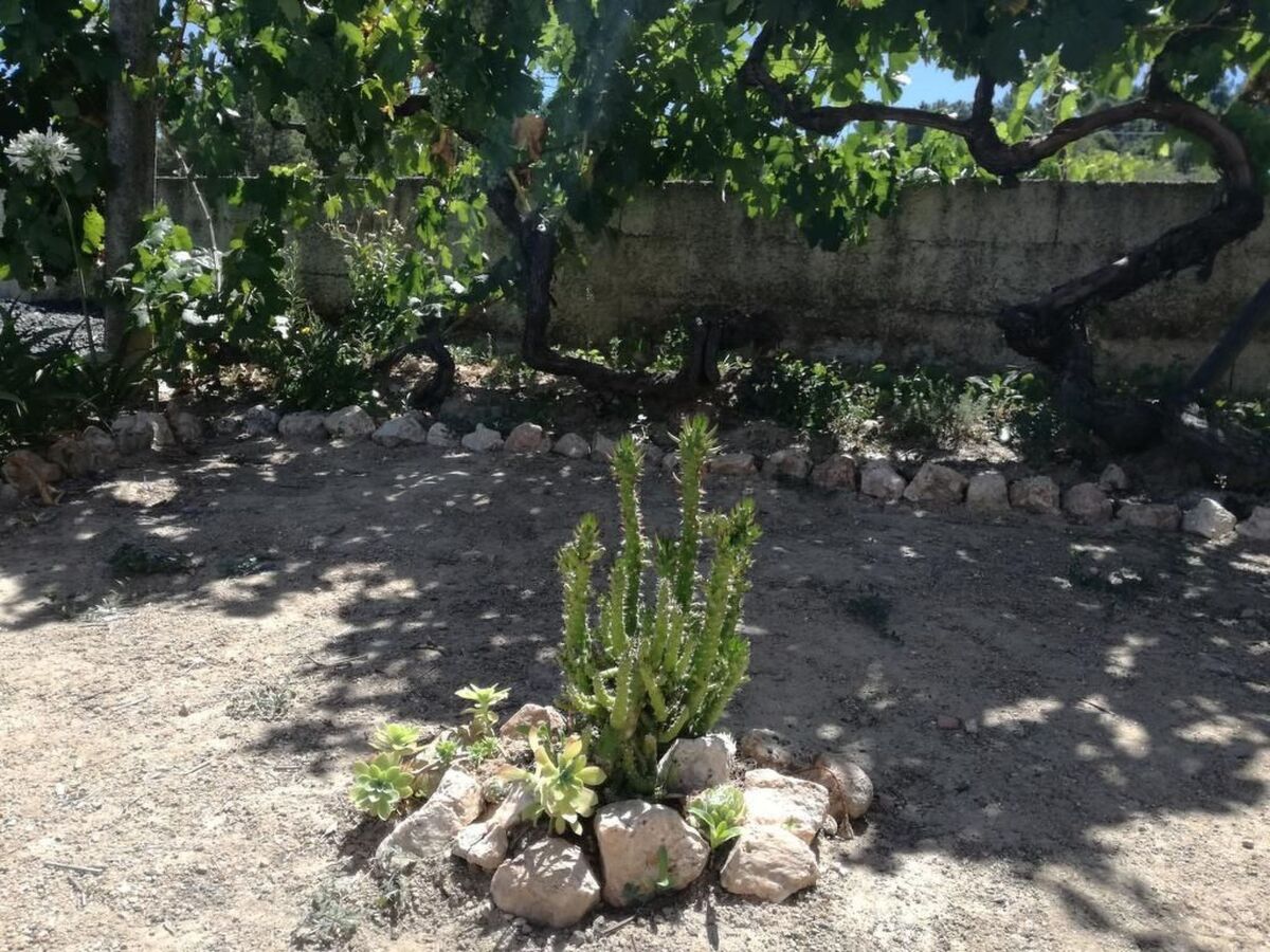 Maison de ferme avec piscine privée à 10 km du Douro - Photo 51