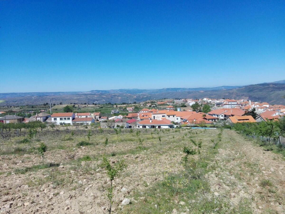Maison de ferme avec piscine privée à 10 km du Douro - Photo 63