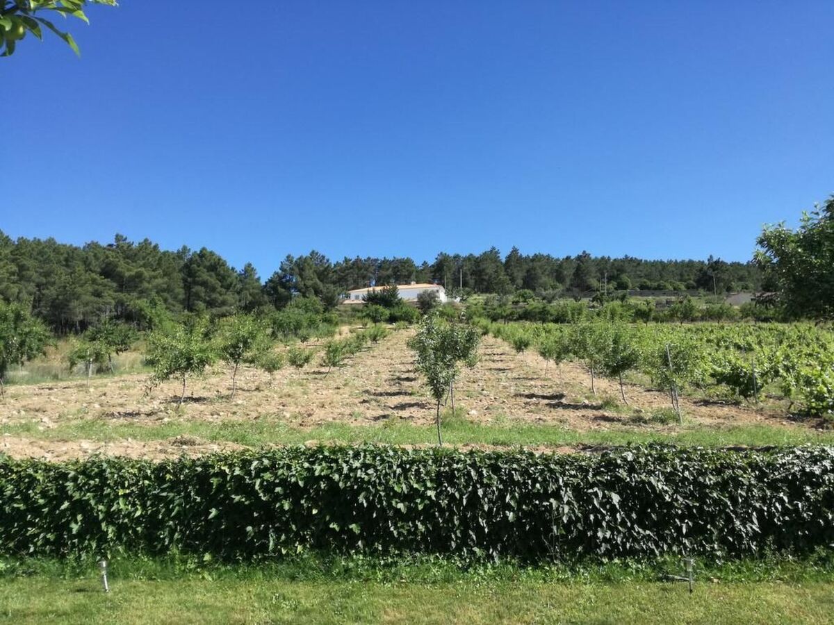 Maison de ferme avec piscine privée à 10 km du Douro - Photo 68