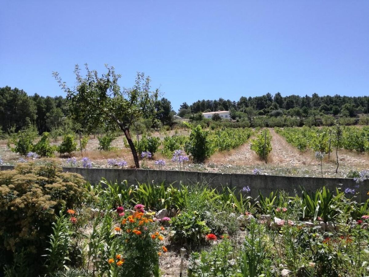 Maison de ferme avec piscine privée à 10 km du Douro - Photo 69
