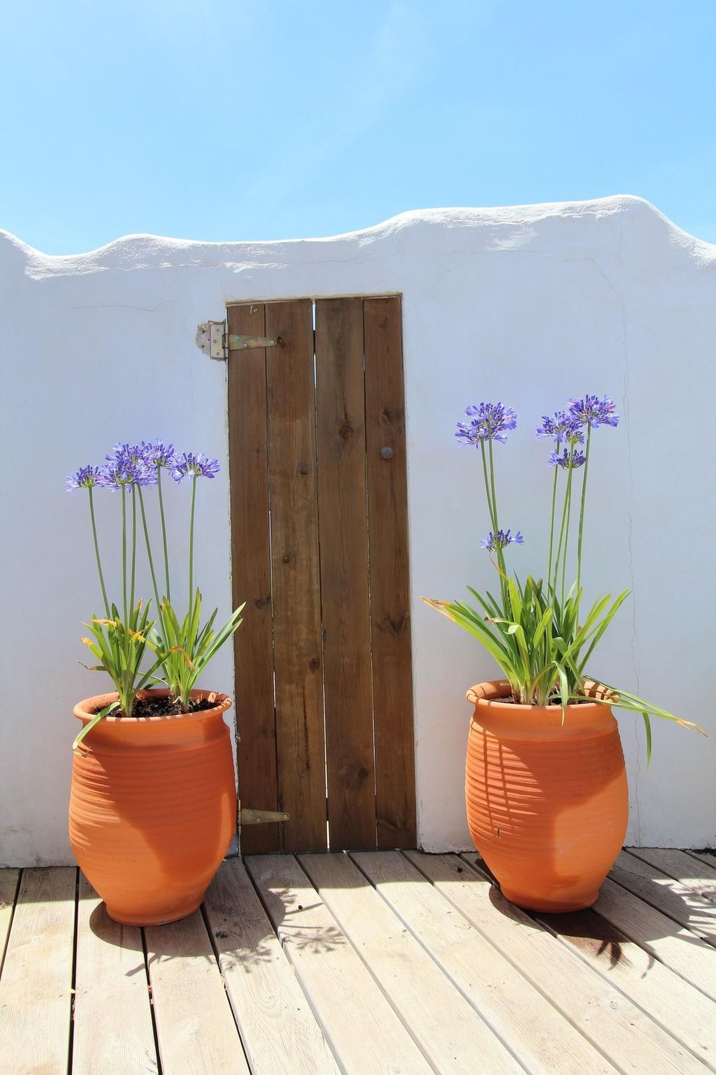 The Recycle Art – Appartement écolo avec terrasse à Aljezur - Photo 20