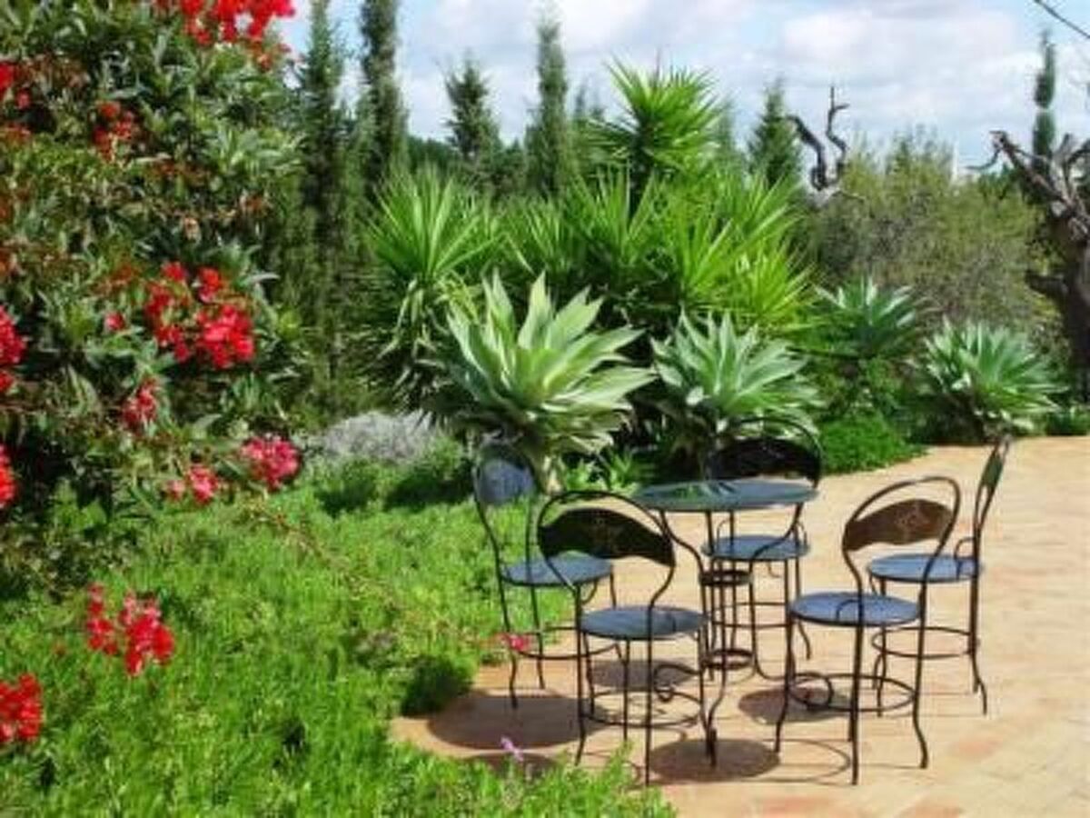 Quinta do Sol – Maison 8 personnes, 2 hectares à Alvor - Photo 3