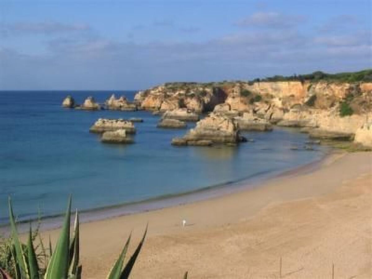 Quinta do Sol – Maison 8 personnes, 2 hectares à Alvor - Photo 12