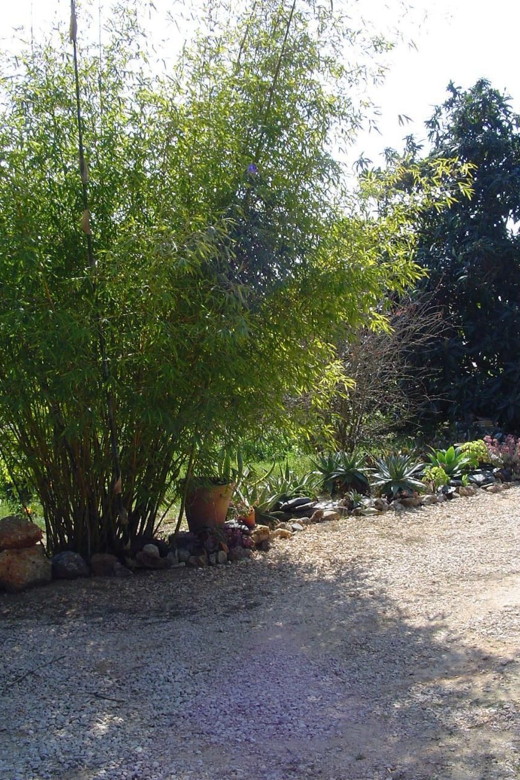 Quinta do Sol – Maison 8 personnes, 2 hectares à Alvor - Photo 26