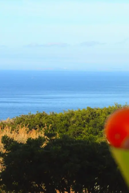 Location appartement à Carvoeiro