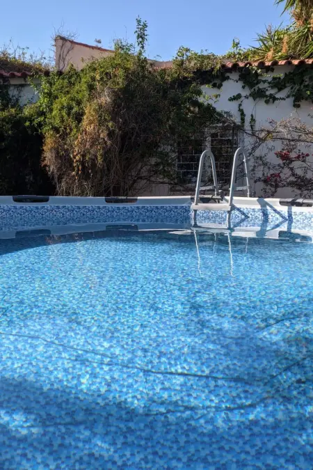 Maison 5 chambres avec piscine privée à Carvoeiro : photo 14