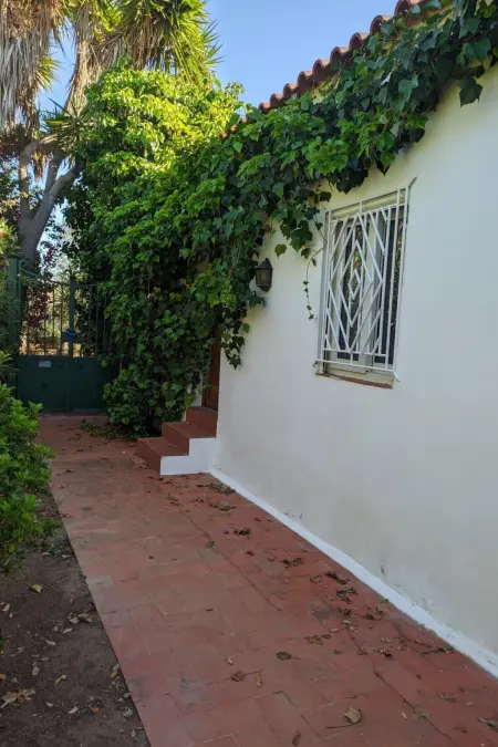 Maison 5 chambres avec piscine privée à Carvoeiro : photo 20