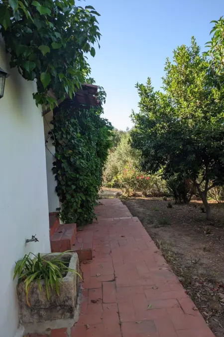 Maison 5 chambres avec piscine privée à Carvoeiro : photo 21